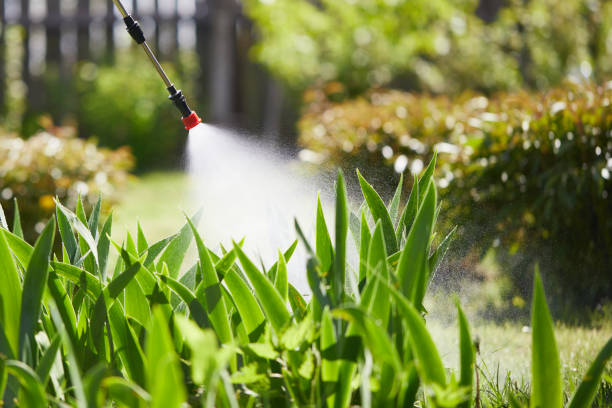 24/7 Emergency Mosquito Control experts in Fairview, OR