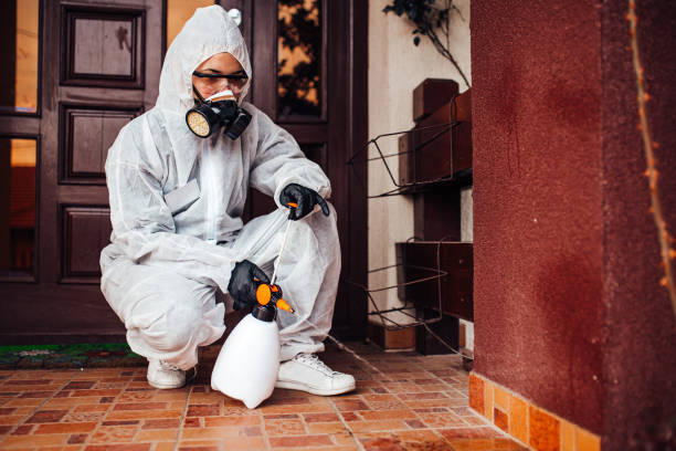 Reliable Mosquito Control contractor in Fairview, OR by Nex Pest Control