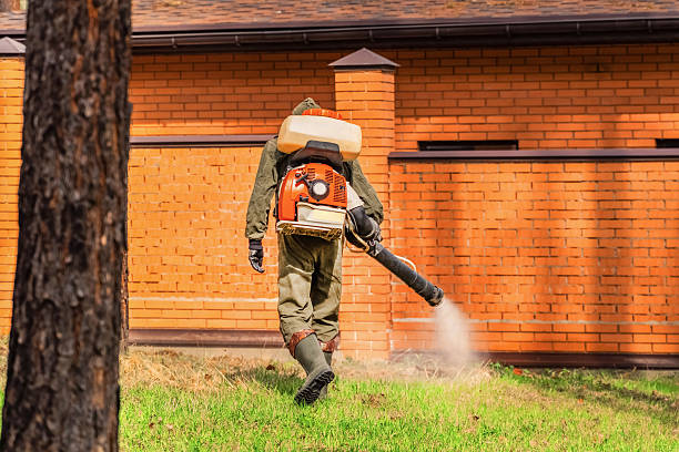 Top rated local Mosquito Control specialists in Fairview, OR